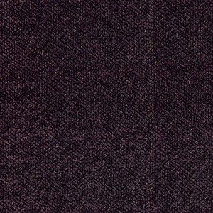 225597 Basic Plommon